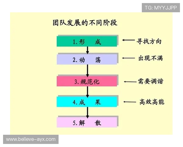 基于战绩数据的全面分析与团队表现评估模型构建